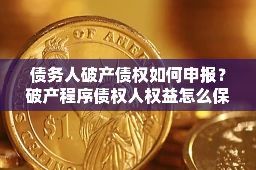 北京债务人破产债权如何申报？破产程序债权人权益怎么保障？
