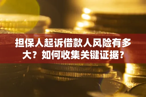 北京担保人起诉借款人风险有多大？如何收集关键证据？