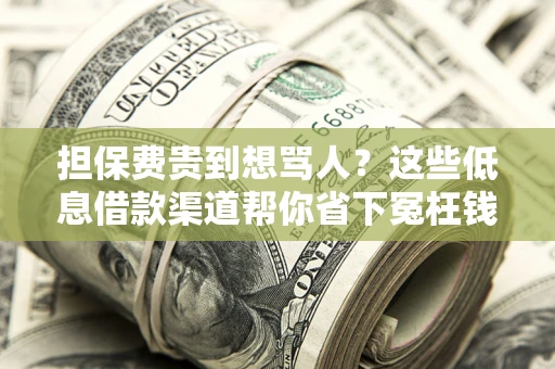 北京担保费贵到想骂人？这些低息借款渠道帮你省下冤枉钱