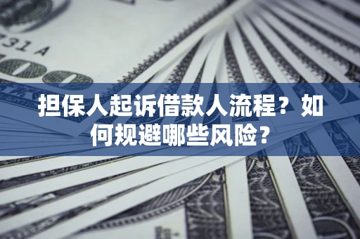 北京担保人起诉借款人流程？如何规避哪些风险？