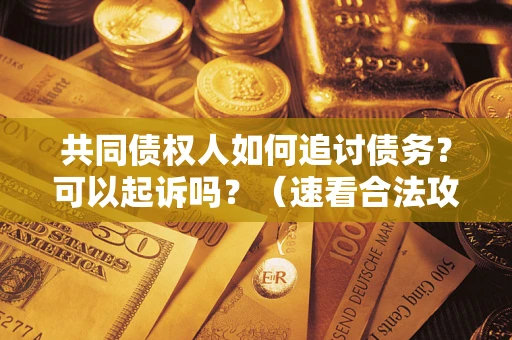 北京共同债权人如何追讨债务？可以起诉吗？（速看合法攻略）